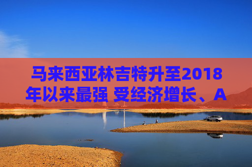 马来西亚林吉特升至2018年以来最强 受经济增长、AI乐观情绪所提振