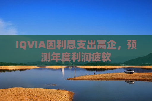 IQVIA因利息支出高企，预测年度利润疲软  第1张