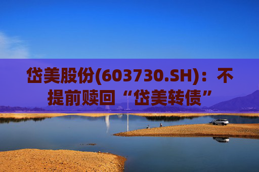 岱美股份(603730.SH)：不提前赎回“岱美转债”  第1张