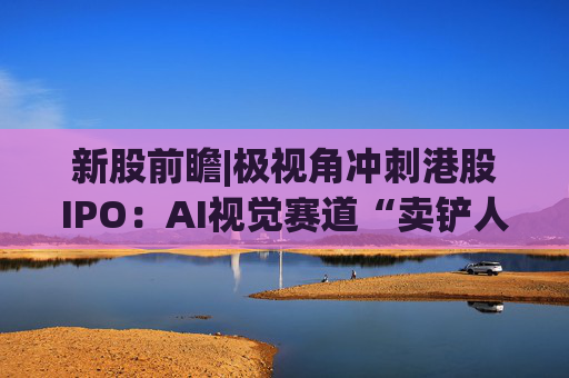 新股前瞻|极视角冲刺港股IPO：AI视觉赛道“卖铲人”潜力可期，盈利波动困境难解