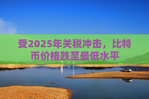 受2025年关税冲击，比特币价格跌至最低水平