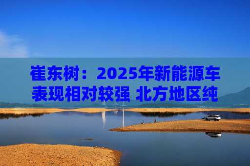 崔东树：2025年新能源车表现相对较强 北方地区纯电动占比提升明显