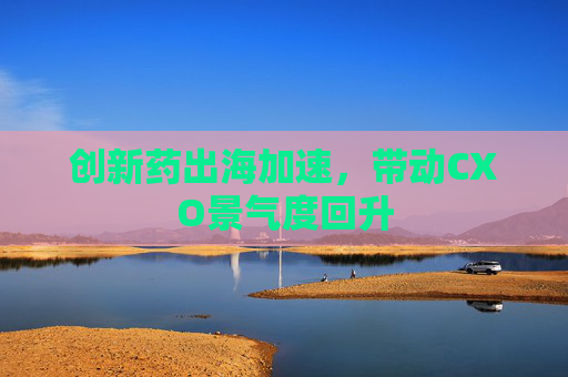 创新药出海加速，带动CXO景气度回升