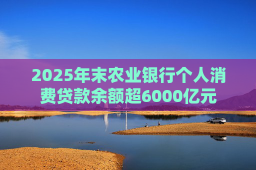 2025年末农业银行个人消费贷款余额超6000亿元