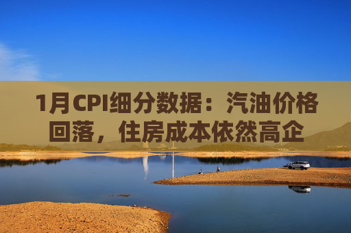 1月CPI细分数据：汽油价格回落，住房成本依然高企