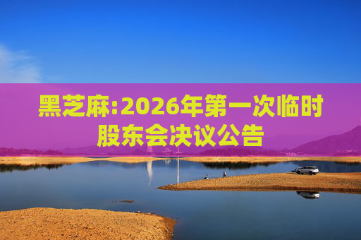 黑芝麻:2026年第一次临时股东会决议公告