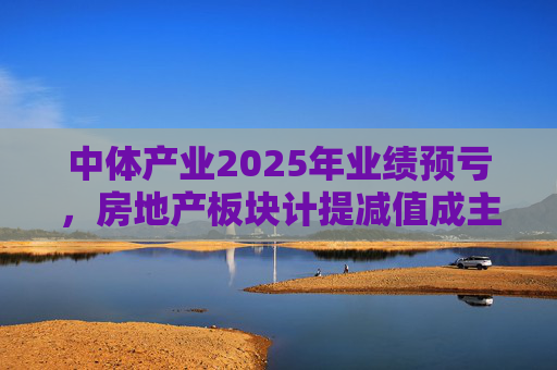 中体产业2025年业绩预亏，房地产板块计提减值成主因