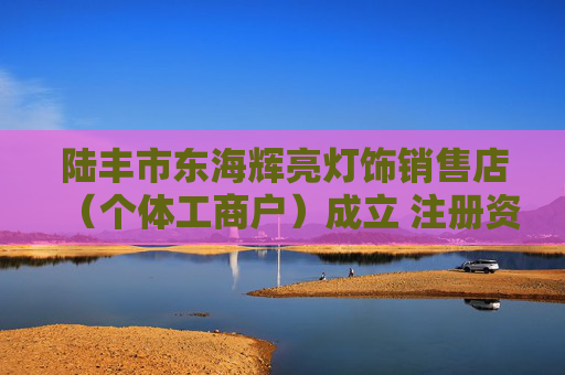 陆丰市东海辉亮灯饰销售店（个体工商户）成立 注册资本1万人民币
