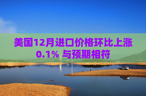 美国12月进口价格环比上涨0.1% 与预期相符