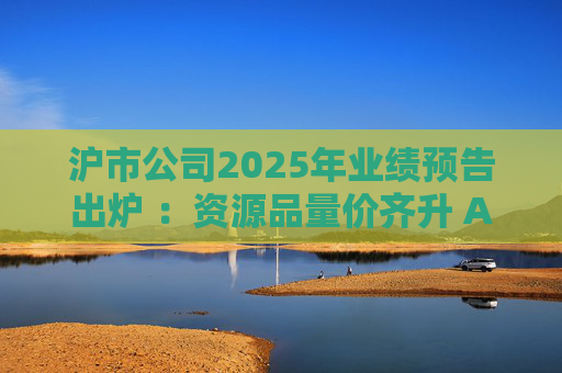 沪市公司2025年业绩预告出炉 ：资源品量价齐升 AI链景气延续