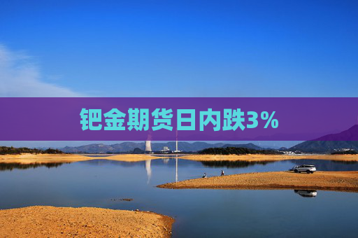 钯金期货日内跌3%