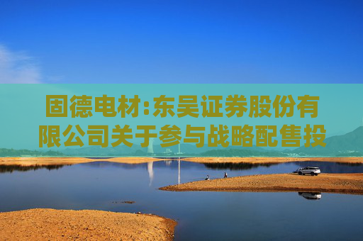 固德电材:东吴证券股份有限公司关于参与战略配售投资者的专项核查报告