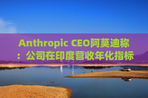 Anthropic CEO阿莫迪称：公司在印度营收年化指标4个月内翻倍