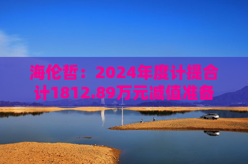 海伦哲：2024年度计提合计1812.89万元减值准备