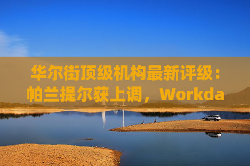 华尔街顶级机构最新评级：帕兰提尔获上调，Workday遭下调