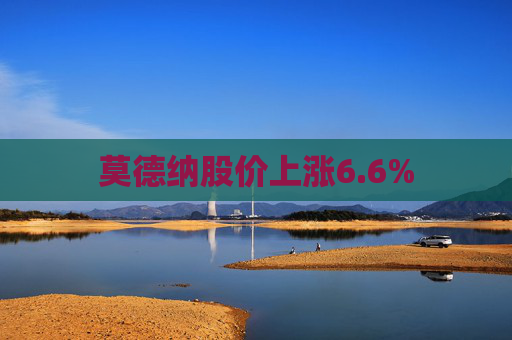 莫德纳股价上涨6.6%