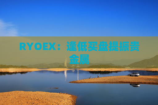 RYOEX：逢低买盘提振贵金属