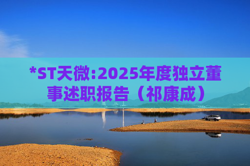 *ST天微:2025年度独立董事述职报告（祁康成）