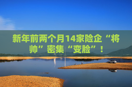 新年前两个月14家险企“将帅”密集“变脸”！
