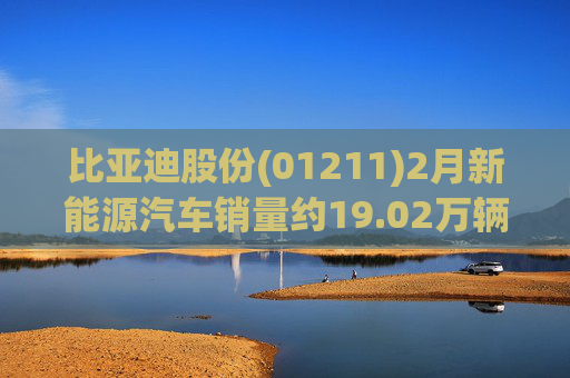 比亚迪股份(01211)2月新能源汽车销量约19.02万辆