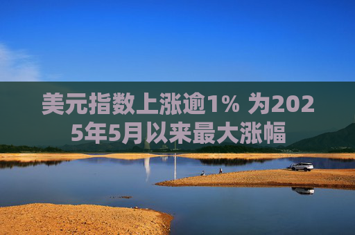美元指数上涨逾1% 为2025年5月以来最大涨幅  第1张