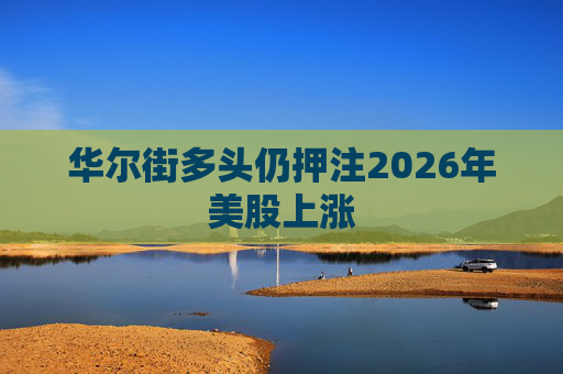 华尔街多头仍押注2026年美股上涨