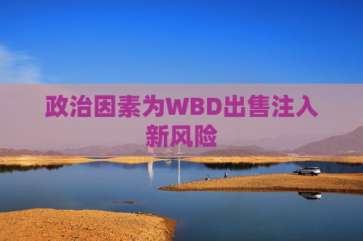 政治因素为WBD出售注入新风险