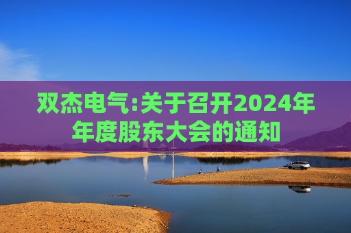 双杰电气:关于召开2024年年度股东大会的通知  第1张