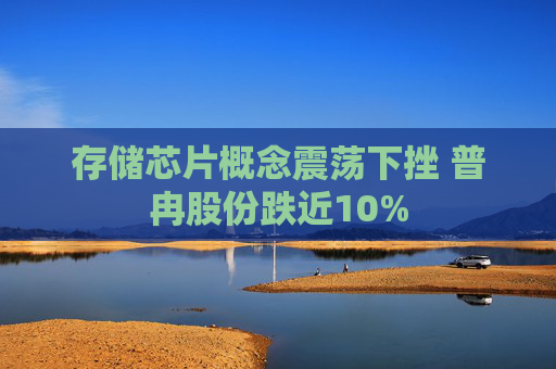 存储芯片概念震荡下挫 普冉股份跌近10%
