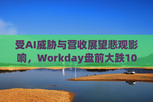 受AI威胁与营收展望悲观影响，Workday盘前大跌10%