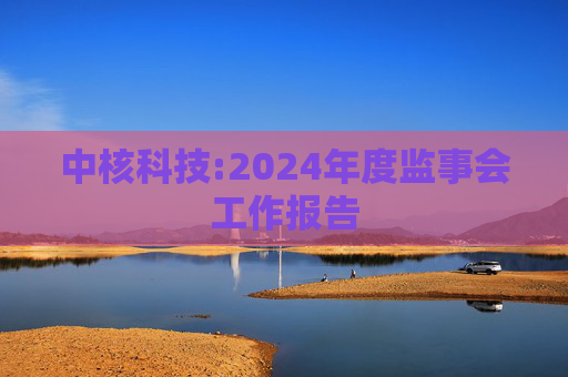 中核科技:2024年度监事会工作报告