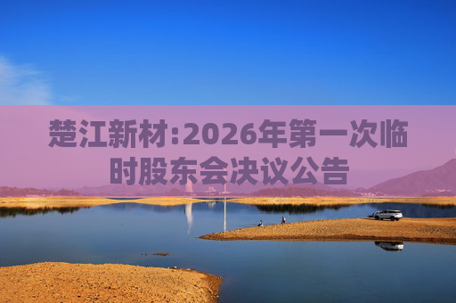 楚江新材:2026年第一次临时股东会决议公告