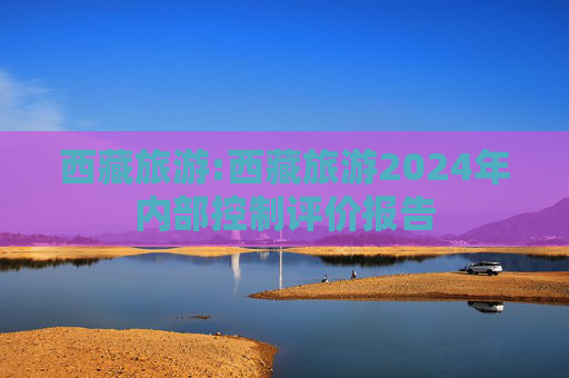西藏旅游:西藏旅游2024年内部控制评价报告