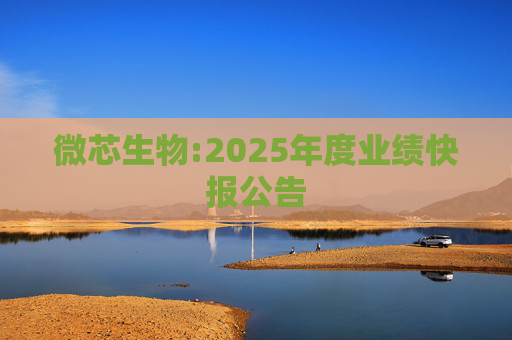 微芯生物:2025年度业绩快报公告