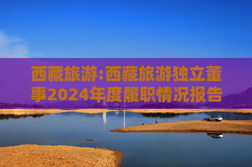 西藏旅游:西藏旅游独立董事2024年度履职情况报告（高金波）  第1张