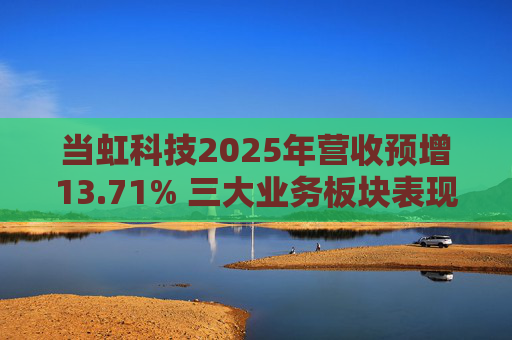 当虹科技2025年营收预增13.71% 三大业务板块表现亮眼