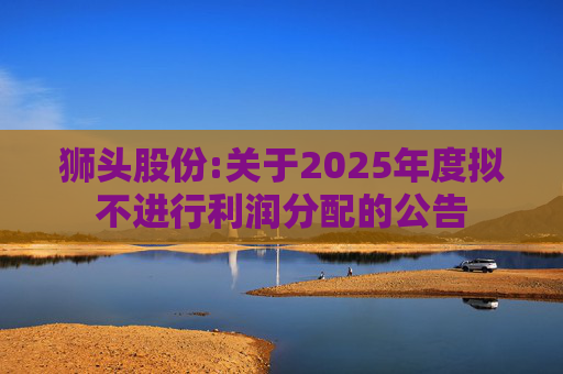 狮头股份:关于2025年度拟不进行利润分配的公告  第1张