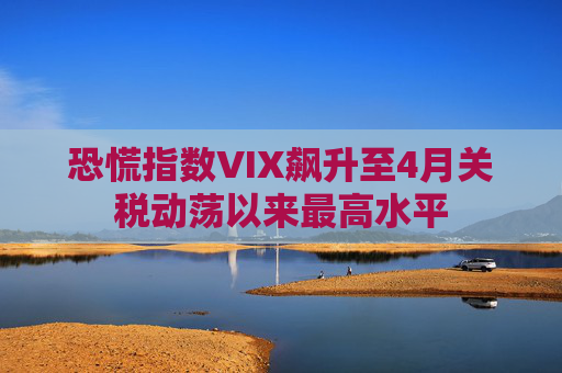 恐慌指数VIX飙升至4月关税动荡以来最高水平