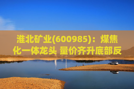 淮北矿业(600985)：煤焦化一体龙头 量价齐升底部反转