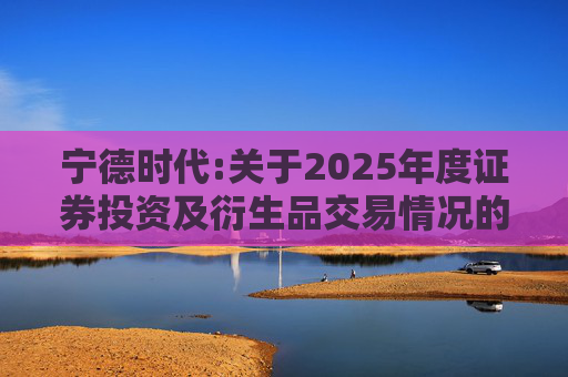 宁德时代:关于2025年度证券投资及衍生品交易情况的专项说明