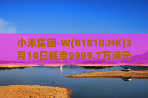 小米集团-W(01810.HK)3月10日耗资9999.7万港元回购297.7万股