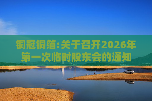 铜冠铜箔:关于召开2026年第一次临时股东会的通知