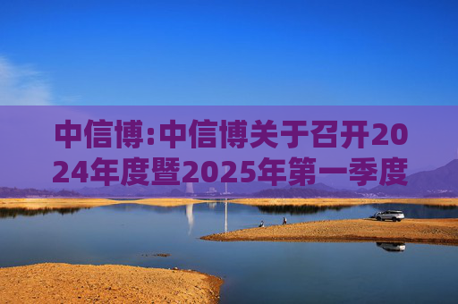 中信博:中信博关于召开2024年度暨2025年第一季度业绩说明会的公告  第1张