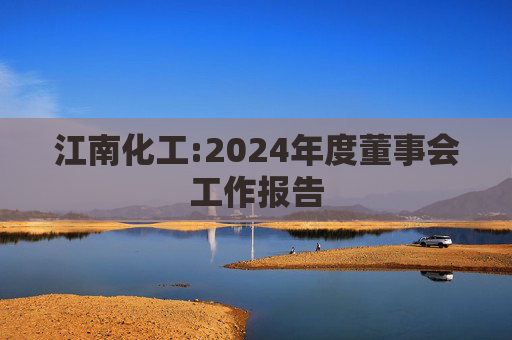 江南化工:2024年度董事会工作报告  第1张