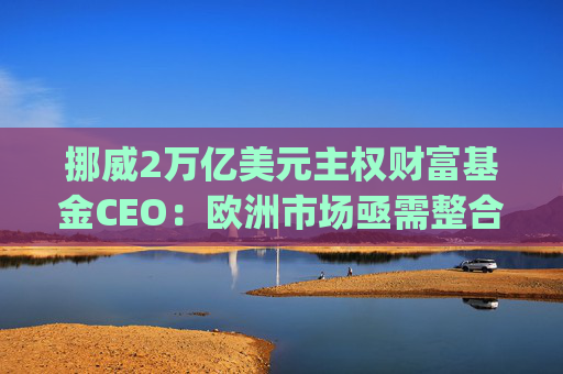 挪威2万亿美元主权财富基金CEO：欧洲市场亟需整合，"赢家通吃"