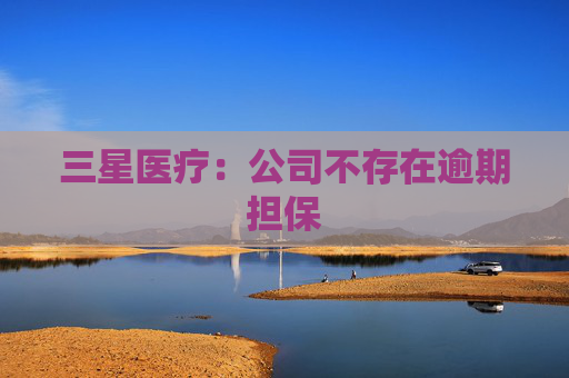 三星医疗：公司不存在逾期担保  第1张