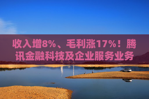 收入增8%、毛利涨17%！腾讯金融科技及企业服务业务稳健增长