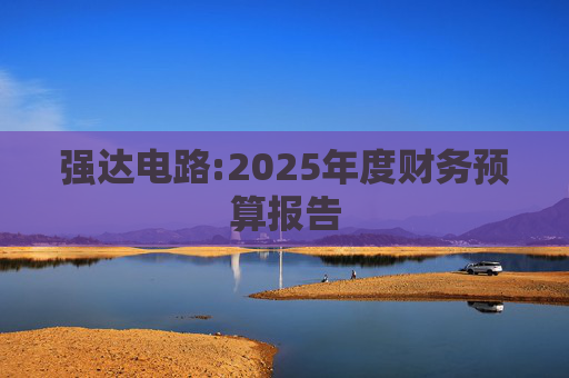 强达电路:2025年度财务预算报告