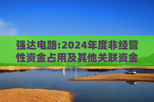 强达电路:2024年度非经营性资金占用及其他关联资金往来情况汇总表
