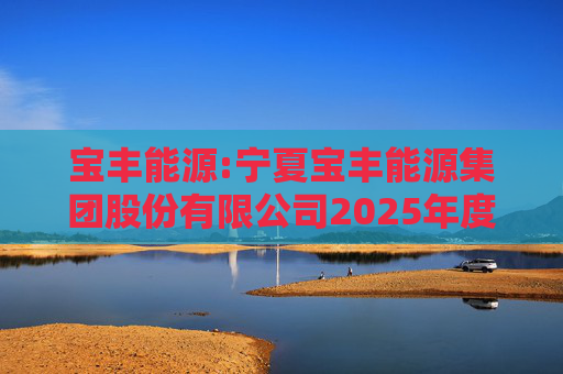 宝丰能源:宁夏宝丰能源集团股份有限公司2025年度独立董事述职报告（孙积禄）